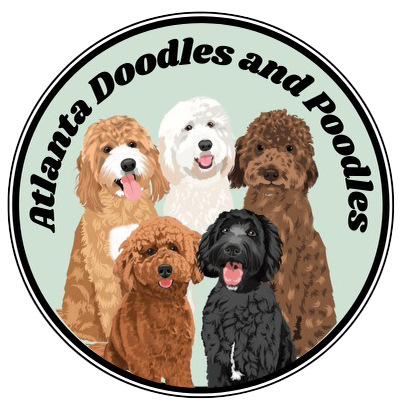 Atlanta Doodles and Poodles logo