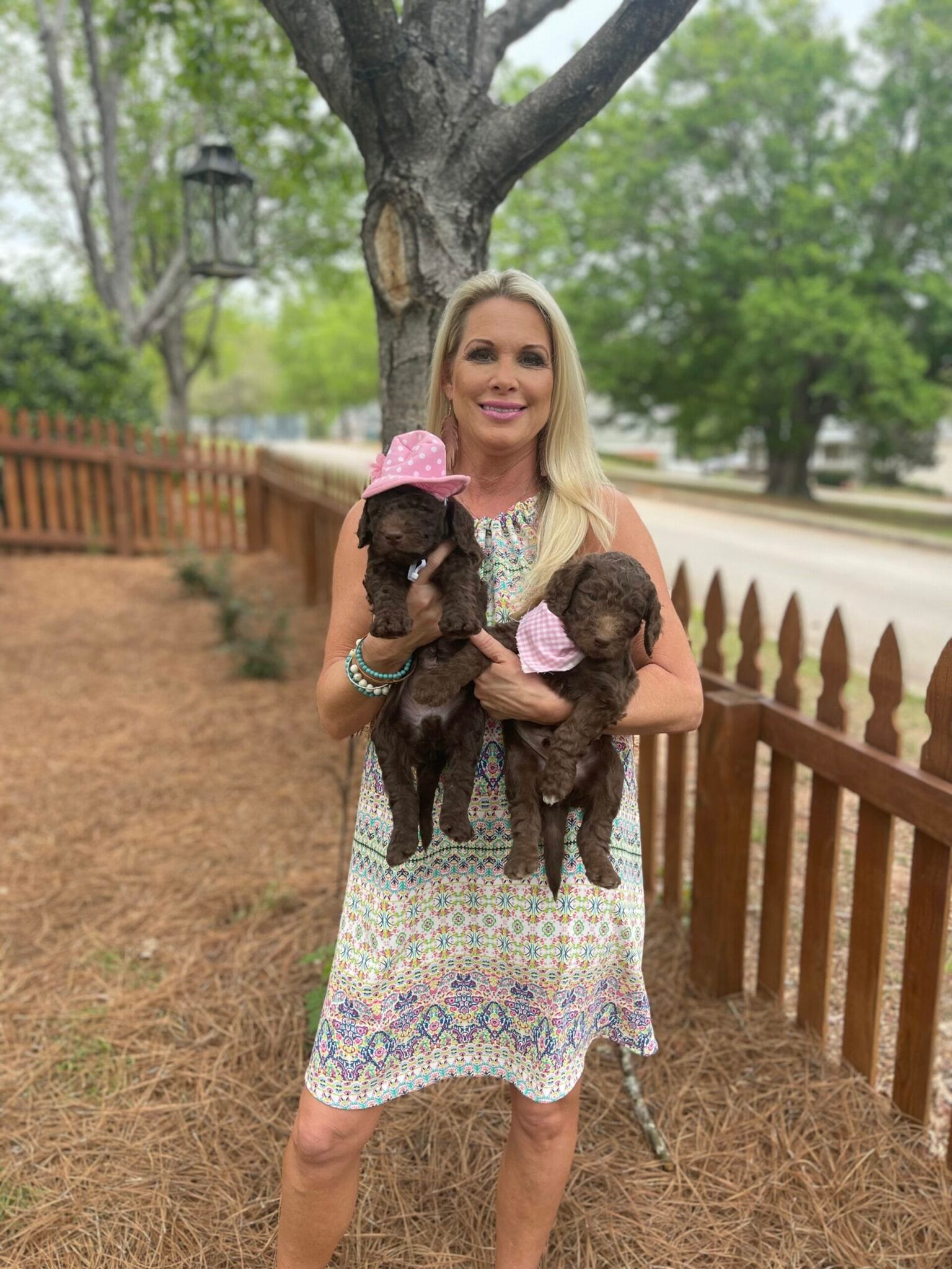 Puppies from June 2022